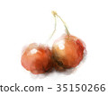 Cherry 35150266