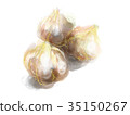 Garlic 35150267