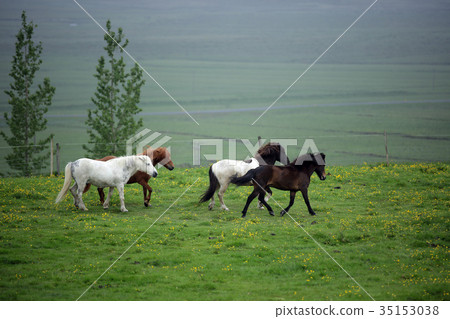 Icelandic Wrangler source Icelandic Wrangler source 35153038