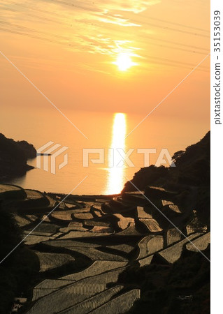 Tanada that shines in the setting sun which sinks to the sea-Saga Prefecture Genkaicho ... Tanada that shines in the setting sun which sinks to the sea-Saga Prefecture Genkaicho ... 35153039