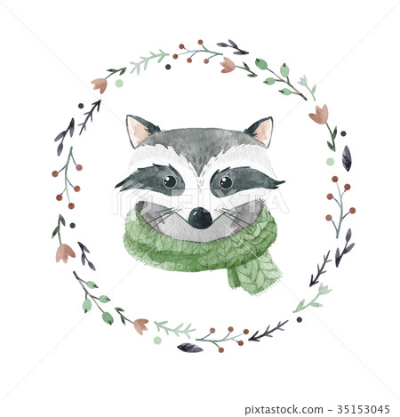 Watercolor raccoon vector portrait 35153045
