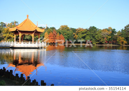 Midorigaoka公園的池塘 Midorigaoka公園的池塘 35154114