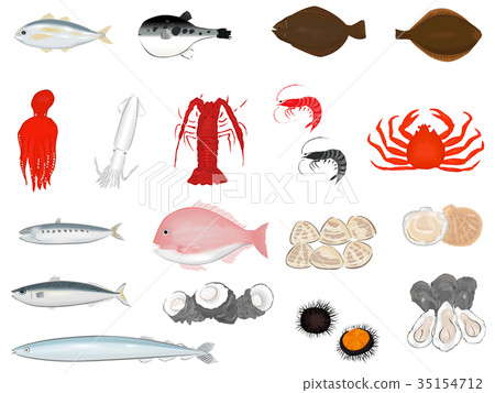 Illustration set of fish and shellfish Illustration set of fish and shellfish 35154712