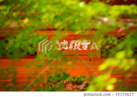 Hogonin Temple zen garde in early autumn 35155627