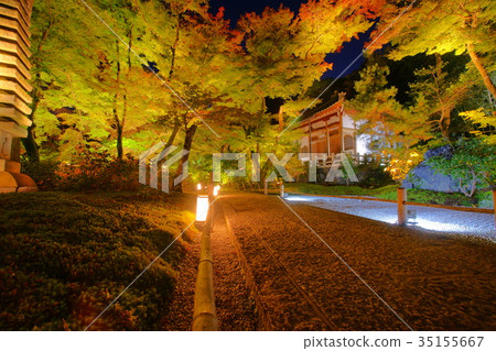 Hogonin Temple zen garden at night 35155667