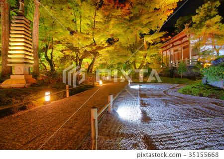 Hogonin Temple zen garden at night 35155668