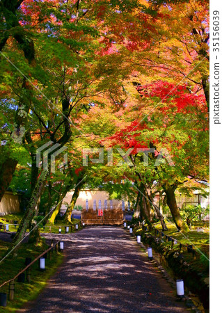 Hogonin Temple footpath Hogonin Temple footpath 35156039