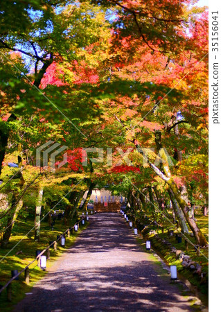Hogonin Temple footpath 35156041