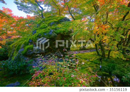 Hogonin Temple zen garden Lion stone in autumn 35156119