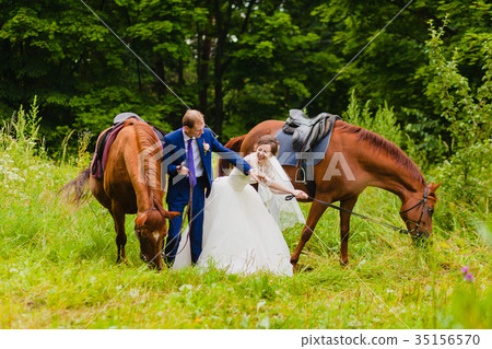 Beautiful newlyweds with two horses Beautiful newlyweds with two horses 35156570
