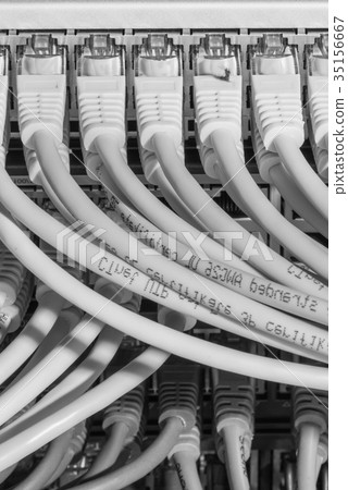 network cables connected to switch 35156667