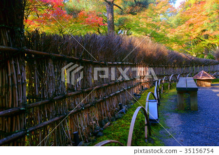 Hogonin Temple zen garden 35156754