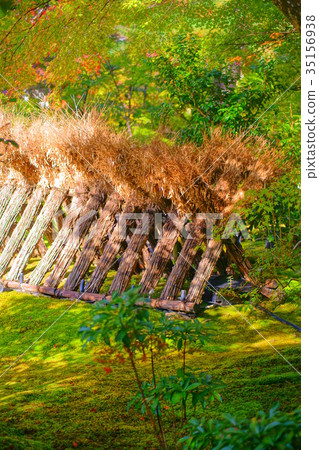 Hogonin Temple footpath in autumn 35156938