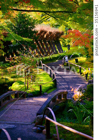 Hogonin Temple footpath in autumn 35156941
