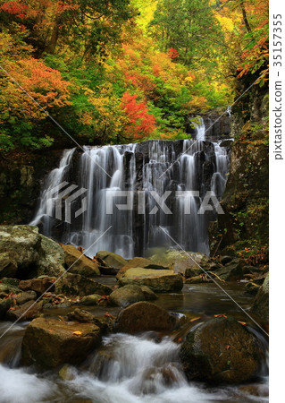 Autumn leaves of Tachimata Valley Nino Falls Autumn leaves of Tachimata Valley Nino Falls 35157355