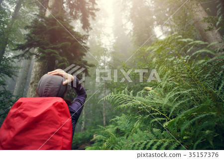 Image from back of girl near fern 35157376