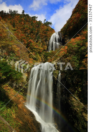 秋天秋天的秋天葉子 35157447