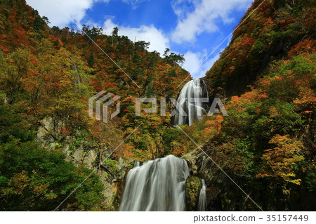 秋天秋天的秋天葉子 35157449