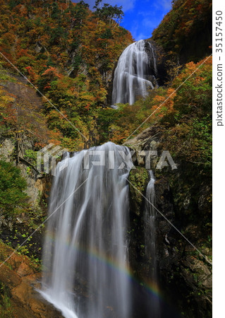 秋天秋天的秋天葉子 35157450