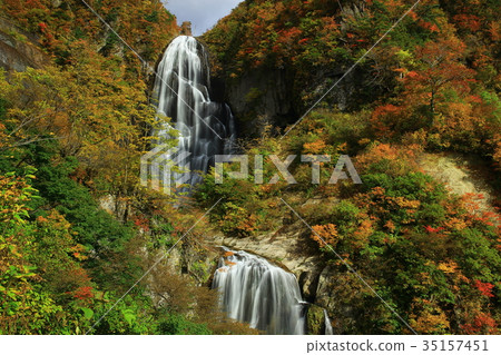 秋天秋天的秋天葉子 35157451