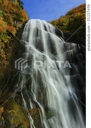 秋天秋天的秋天葉子 35157456