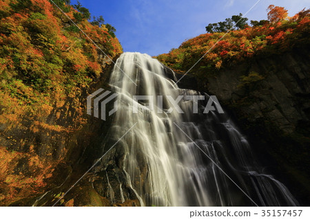 秋天秋天的秋天葉子 35157457