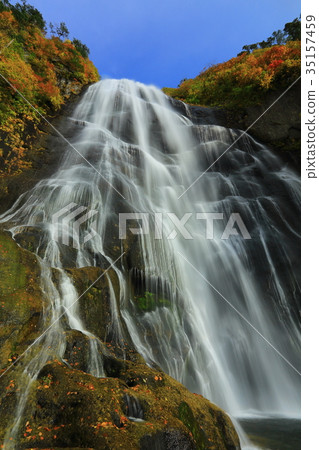 Fall of fall of autumn leaves Fall of fall of autumn leaves 35157459