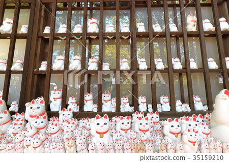 Futatsukuji的幸運貓 Futatsukuji的幸運貓 35159210