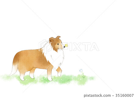 Shelty's New Year's card without lyrics & notes 35160007