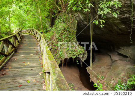Boardwalk and small cave in rainforest Boardwalk and small cave in rainforest 35160210