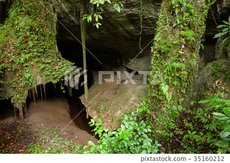 Small cave in rainforest Small cave in rainforest 35160212