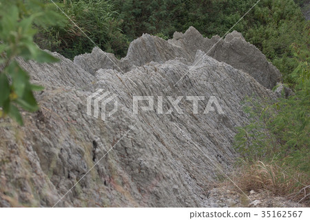 高雄田寮月世界 35162567