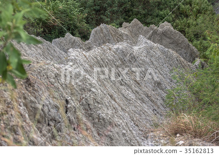 高雄田寮月世界 35162813