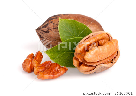 Two pecans with leaves isolated on white 35163701