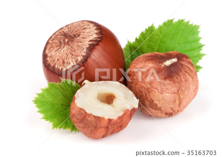 Hazelnuts with leaves isolated on white background Hazelnuts with leaves isolated on white background 35163703