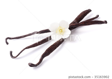 Vanilla sticks with flower isolated on white 35163902