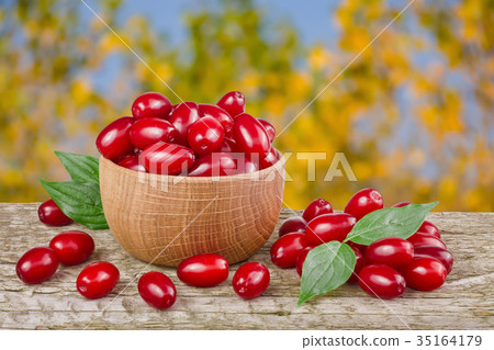 dogwood berry with leaf in bowl on wooden table dogwood berry with leaf in bowl on wooden table 35164179