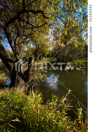 Early autumn landscape. Wild river flowing along Early autumn landscape. Wild river flowing along 35164343