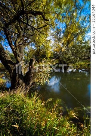 Early autumn landscape. Wild river flowing along Early autumn landscape. Wild river flowing along 35164344