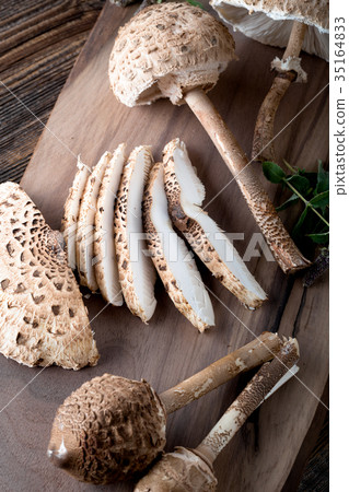 Macrolepiota procera, very tasty edible mushroom 35164833