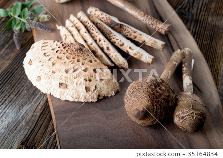 Macrolepiota procera, very tasty edible mushroom 35164834