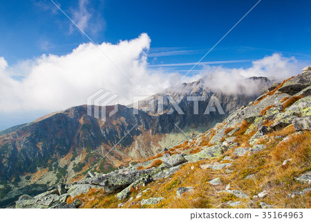 View from the top of the mountain, Slovakia View from the top of the mountain, Slovakia 35164963