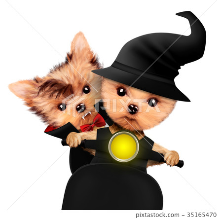 Funny Dracula and witch. Halloween and Dead day Funny Dracula and witch. Halloween and Dead day 35165470