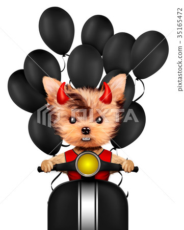 Funny animal Devil. Halloween and Evil concept 35165472