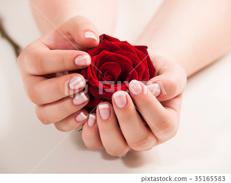 Womans hand with french manicure hold rose flower 35165583