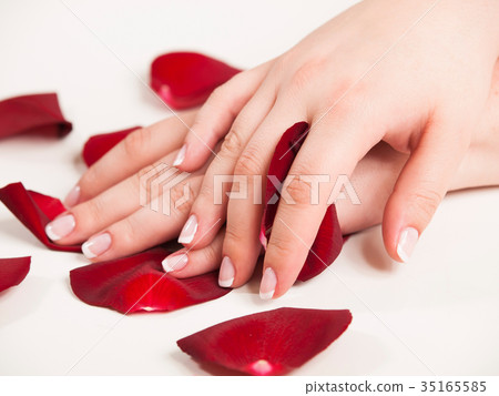 Beautiful woman hand holding rose petals 35165585