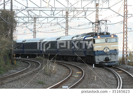 Revival Fuji 35165623