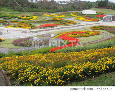 秋天的陸之森湖濱公園 35166322