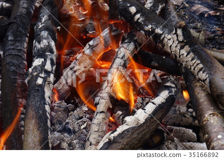 Bonfire 35166892