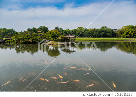岡山初夏后樂園池塘是日本三大花園之一 岡山初夏后樂園池塘是日本三大花園之一 35168135